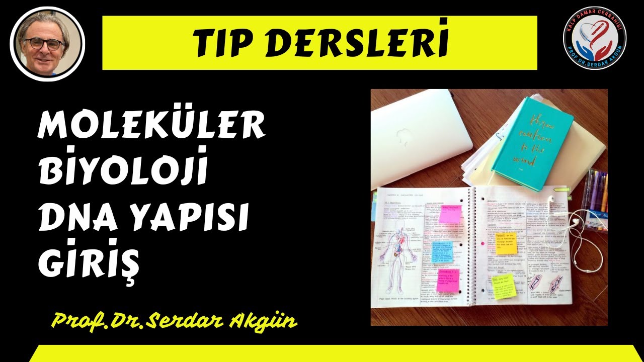 Moleküler Biyoloji, DNA  Yapısı, Prof.Dr.Serdar Akgün Tıp Videoları