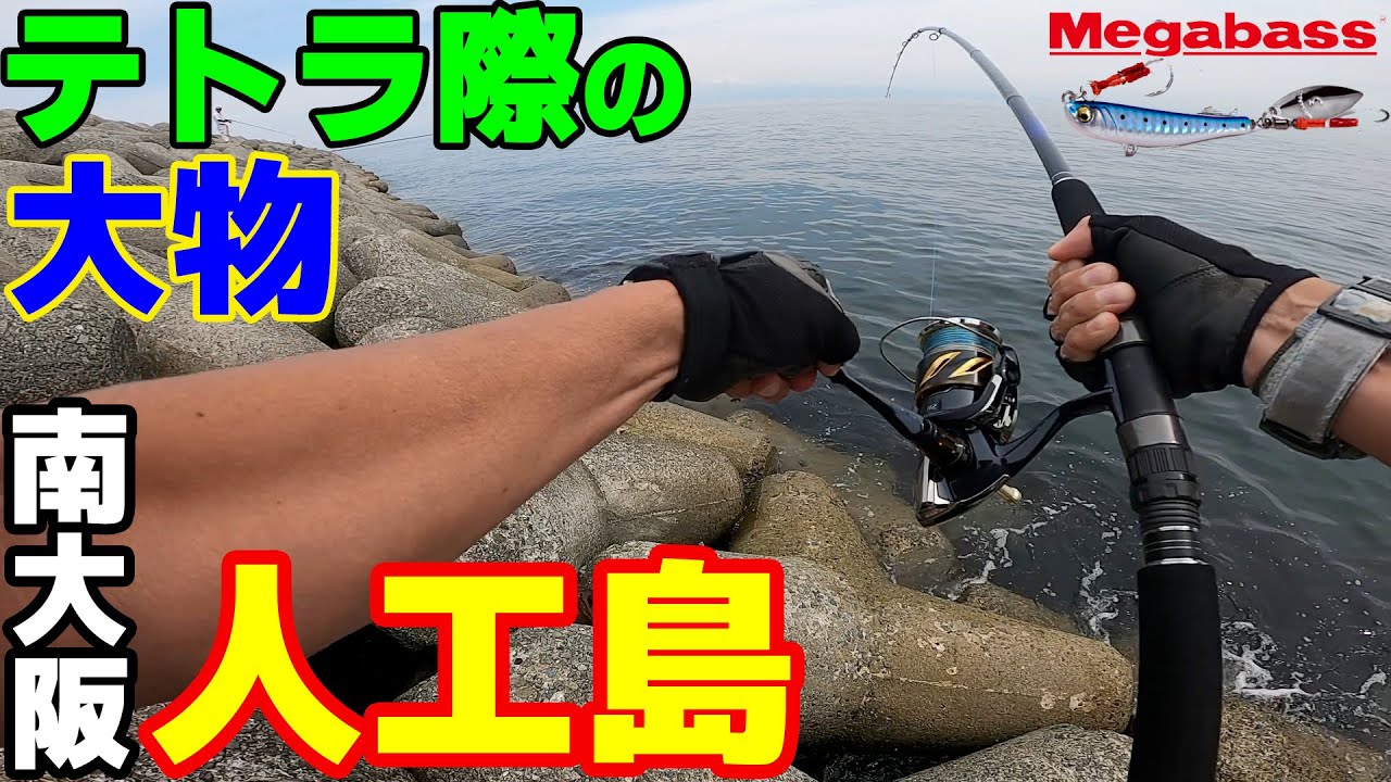 貝塚人工島（大阪湾）で大型青物をショアジギングで釣った！