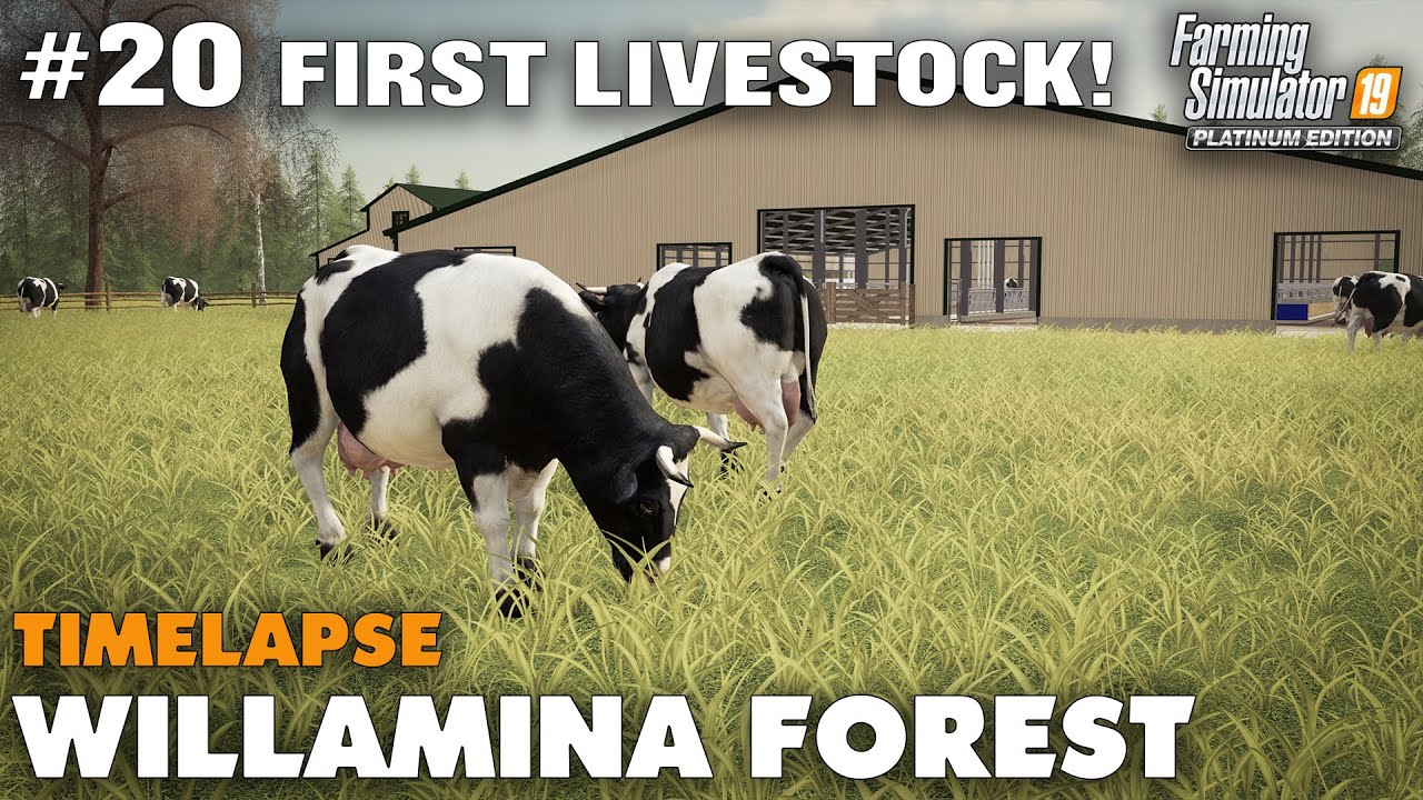 Willamina Forest Timelapse #20 Buying Our First Cows, Farming Simulator 19 Seasons