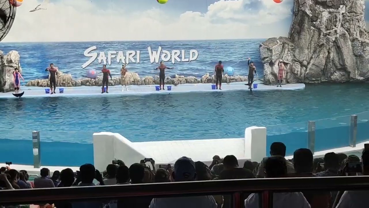 video 20190321 155412