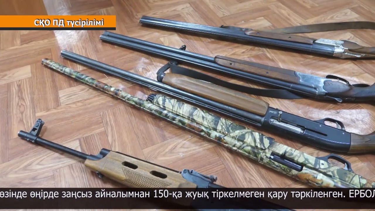 Петропавлдық зейнеткер гаражынан жарты келі оқ-дәрі тауып алды