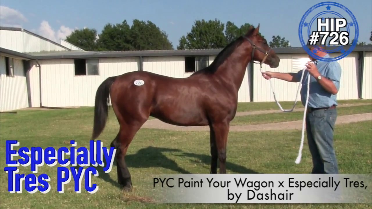 Heritage Place September Yearling Sale 2017: Session 3