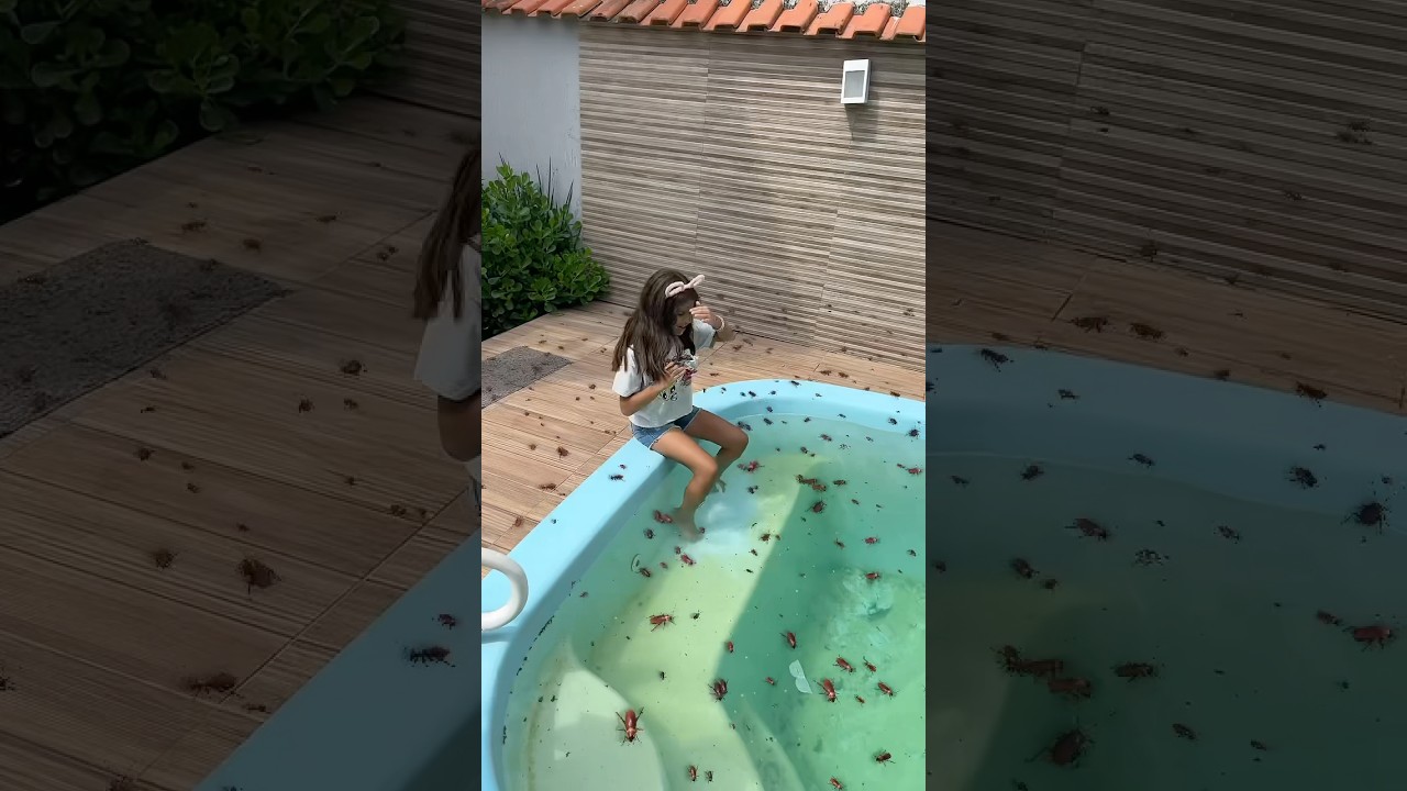 A Piscina t&aacute; cheia de Barata!