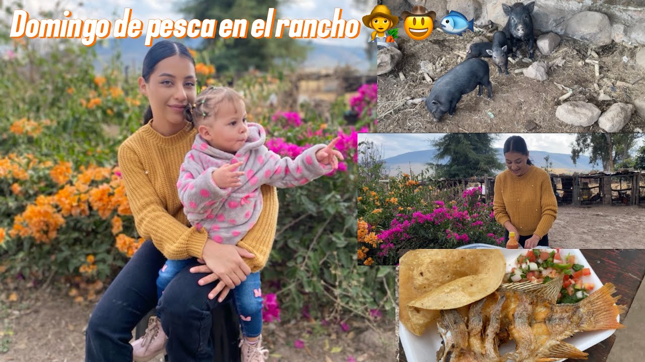 Un domingo familiar en el rancho. Hicimos dore de pescado en el disco 🐟🤠👩🏻‍🌾❤️