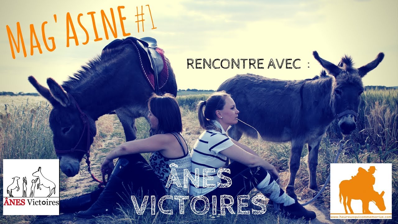 [Mag'Asine #1] Rencontre avec Anes Victoires (Partie 1)