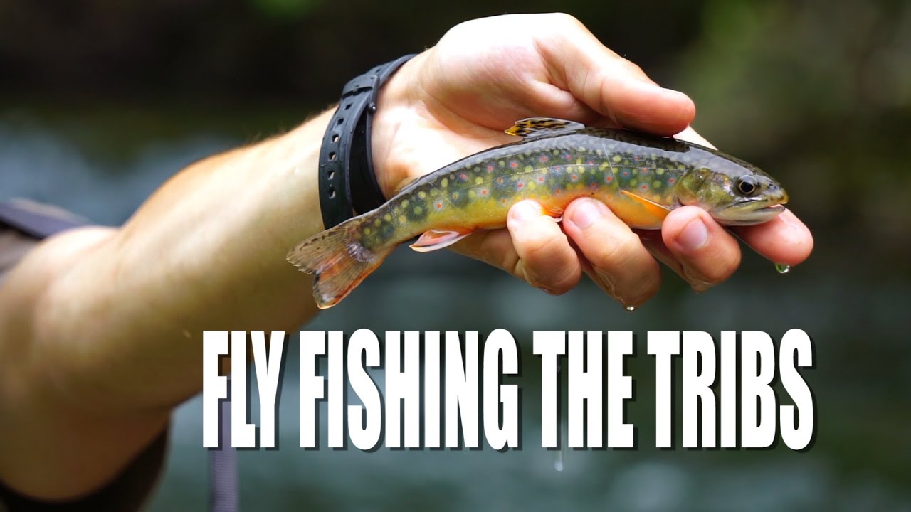 Fly fishing the Kettle Creek Watershed
