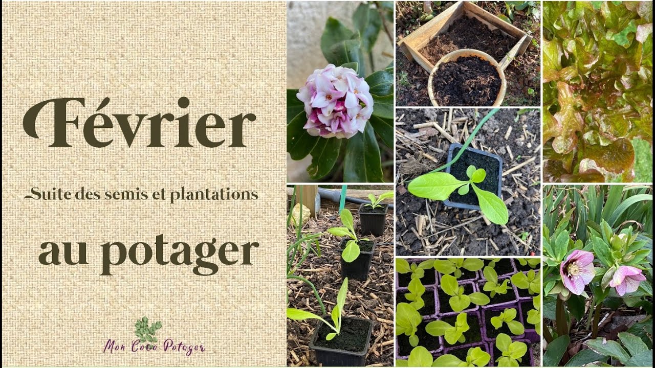 Que faire au potager fin Février ?
