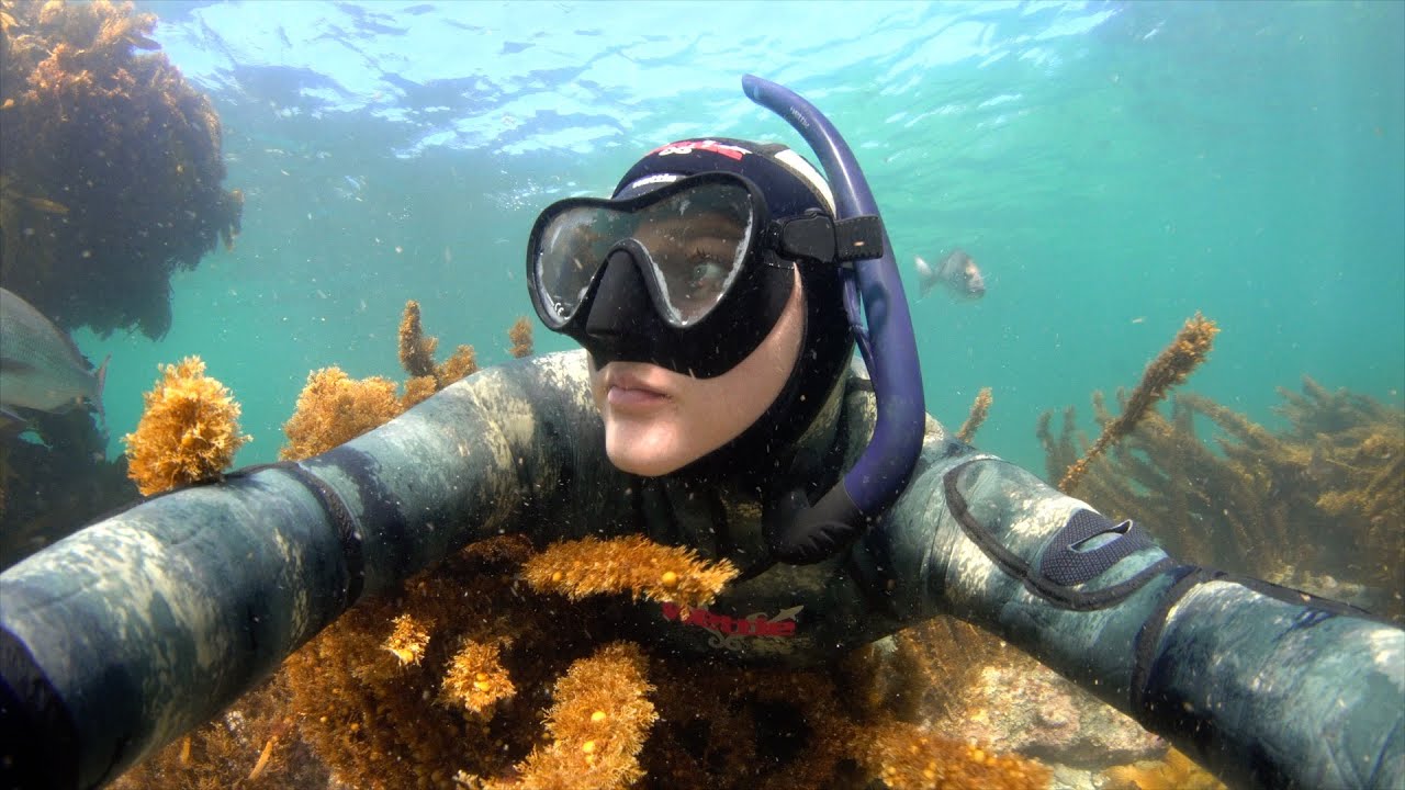 Saving New Zealand's Hauraki Gulf