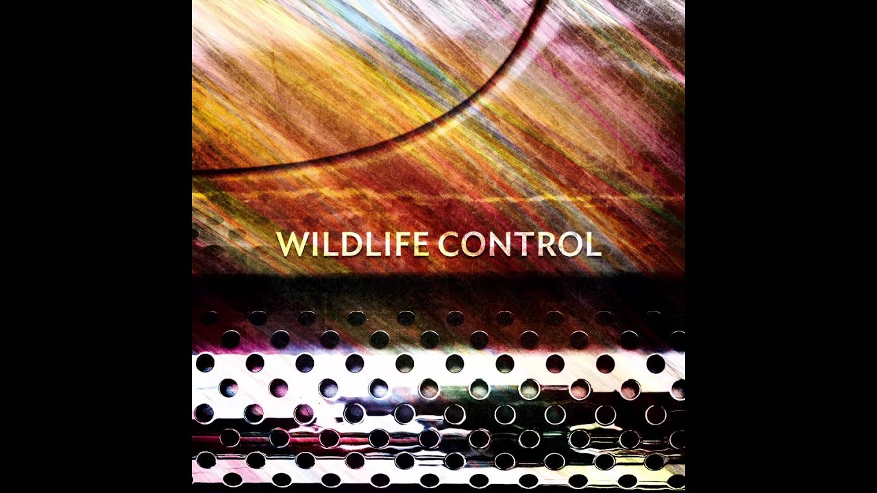 Wildlife Control - Brooklyn