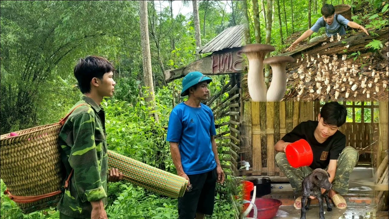 Full video: Farm building skills. How to harvest vegetables and fruits to sell, cooking