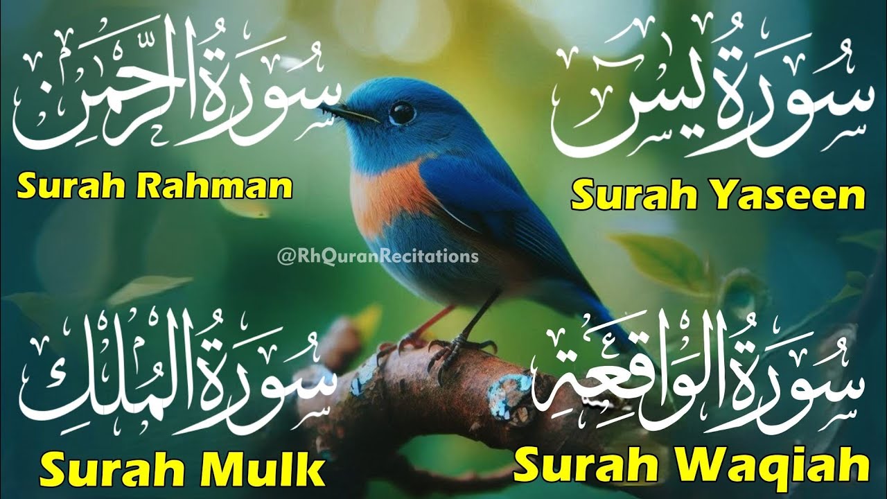 Beautiful Surah Yaseen (Yasin) | Surah Rahman | Surah Waqiah | Surah Mulk | Episode 84