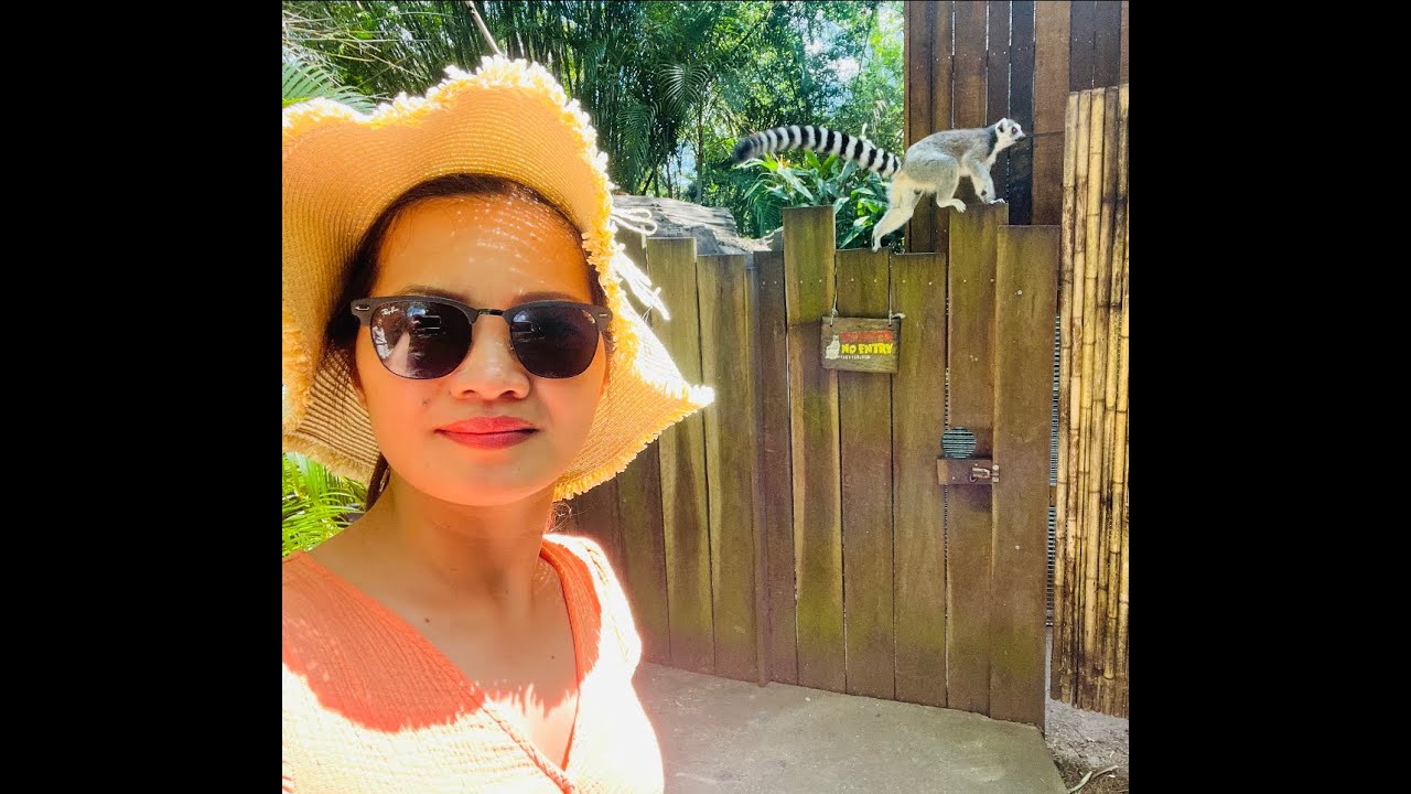 Exploring Australia Zoo @ Queensland Australia #6k#visitqueensland #holidayvibes #hero10 #irwinfam