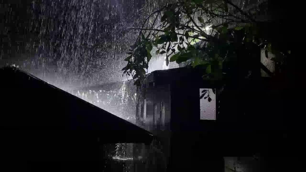 Peaceful Night Rain on Tin Roof for Deep Sleep