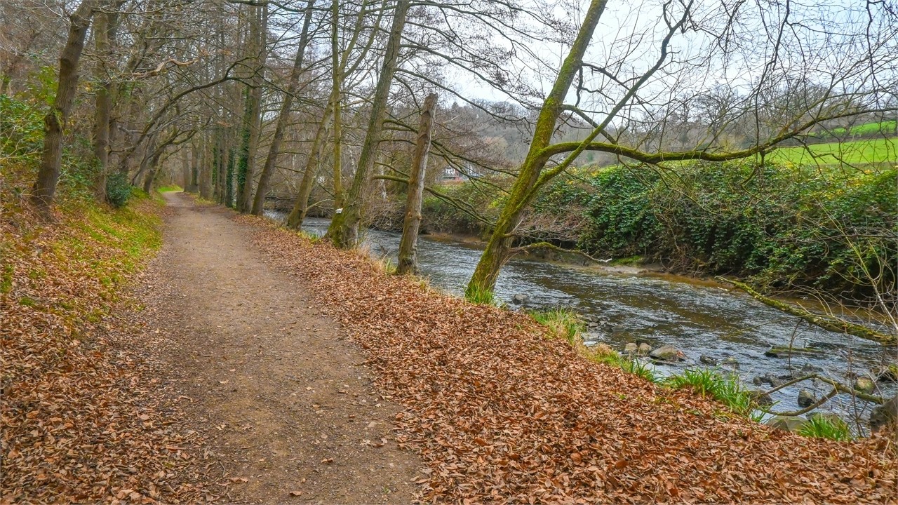 Das Wurmtal in Würselen [UHD] (23.12.2025) - Fotos