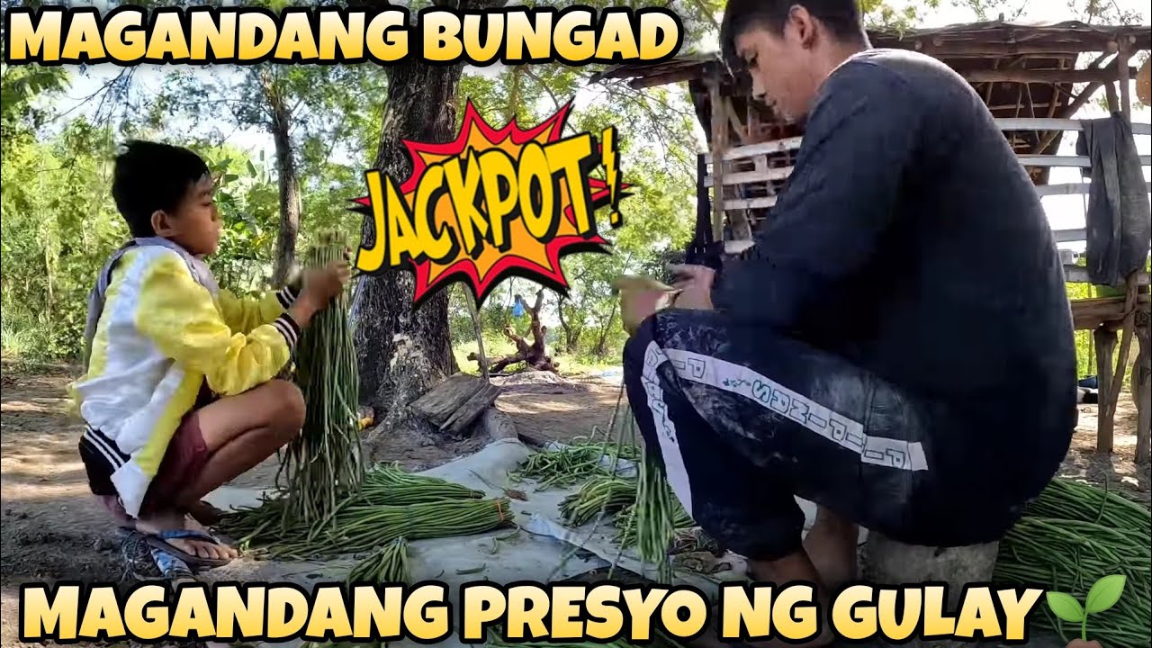 EP81(Part1of2): JACKPOT SA PRESYO SA TANIM NA GULAY🌱💪🏻