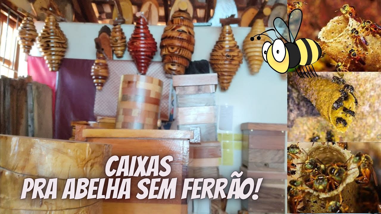 Incríveis modelos de caixas pra abelha sem ferrão