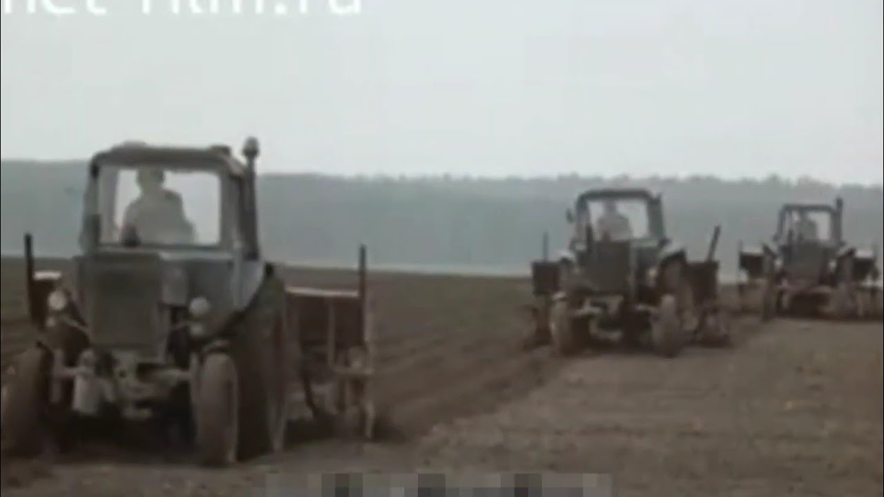 Технология возделывания картофеля. МТЗ-80, МТЗ-82