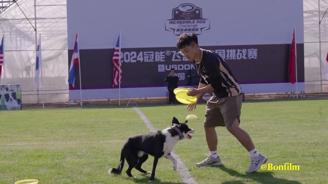 Bo Wei Yang & Amir ADDC 2024