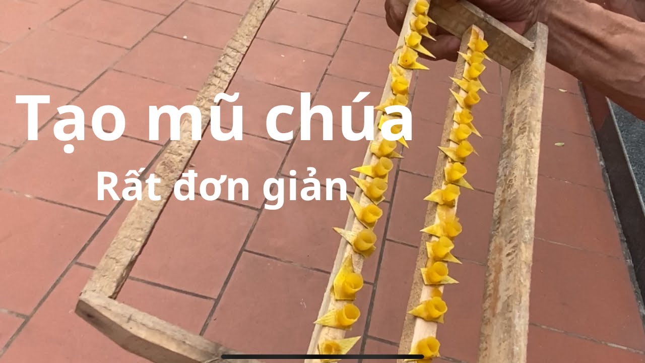 Cách tạo mũ  ong chúa cho đàn ong nội rất đơn giản/