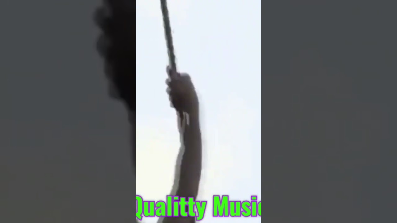 #sertanejomodao
