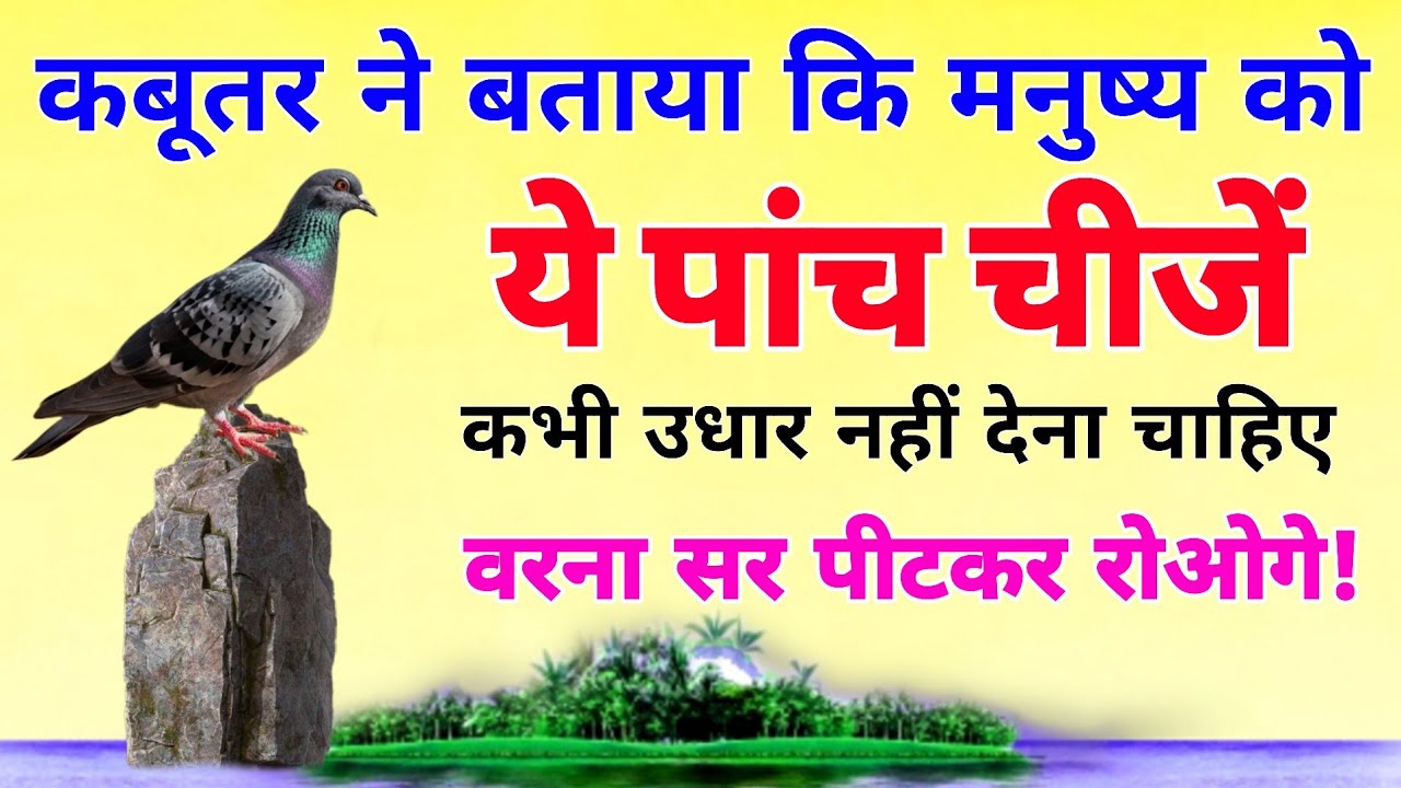 कबूतर ने बताया कि मनुष्य को यह पांच चीजें कभी उधार नहीं देना चाहिए वरना सर पीटकर रोओगे!