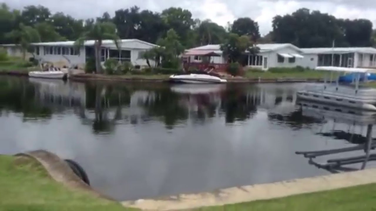 Fishing Lake Tarpon FL