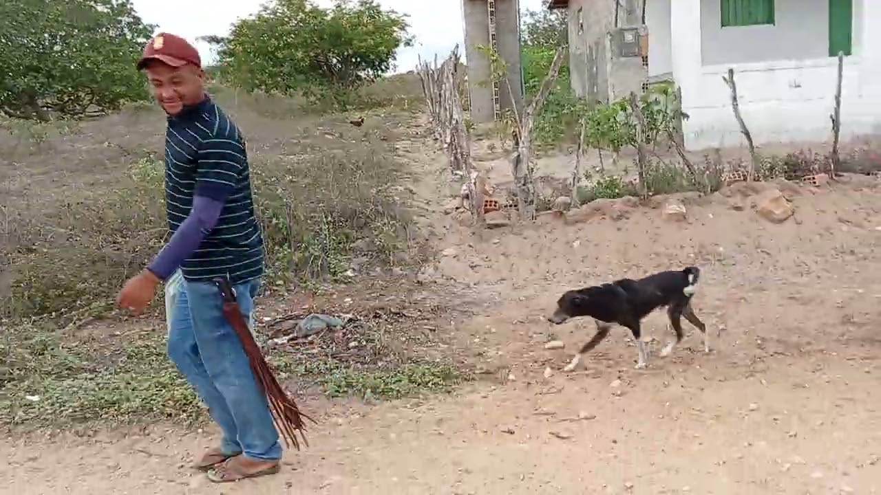 Aluta do sertão continua muito calor ♨️