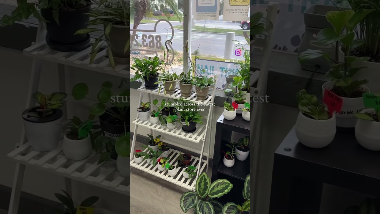 I stumbled across the cutest plant store ever | Jo & Co.