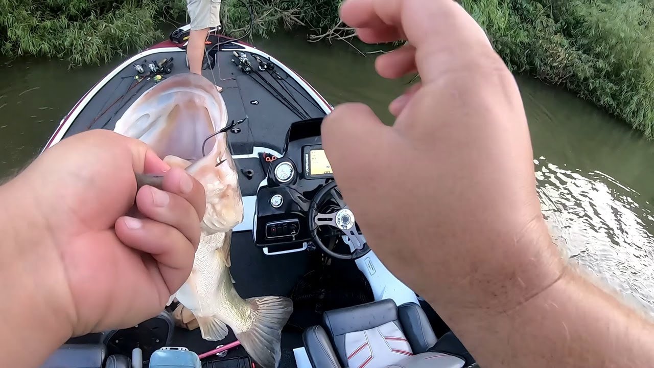 Bass Tournament on the Altamaha River || RiverBassin