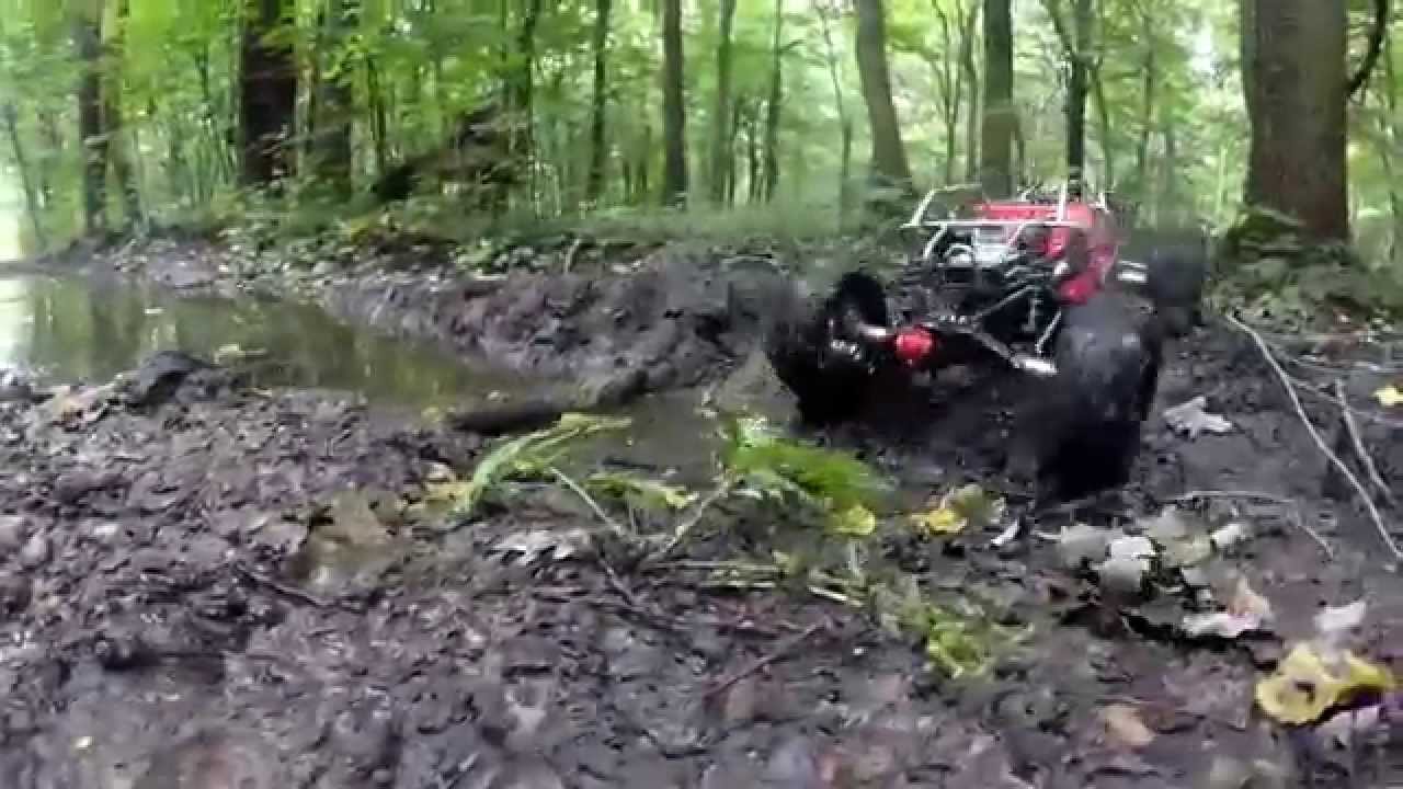 Axial Wraith New Car in Mudi Wood