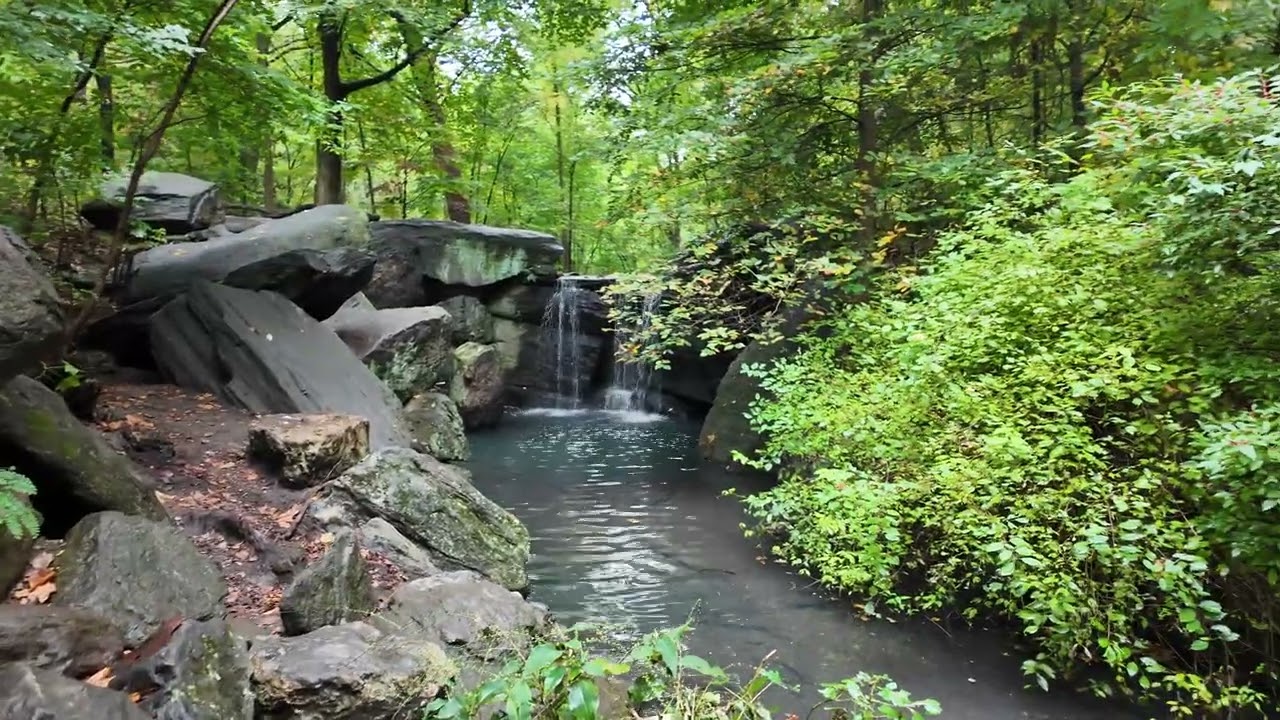 4K Walking Tour | Central Park&rsquo;s Hidden Gem: The Ravine | Cloudy Fall Afternoon in NYC