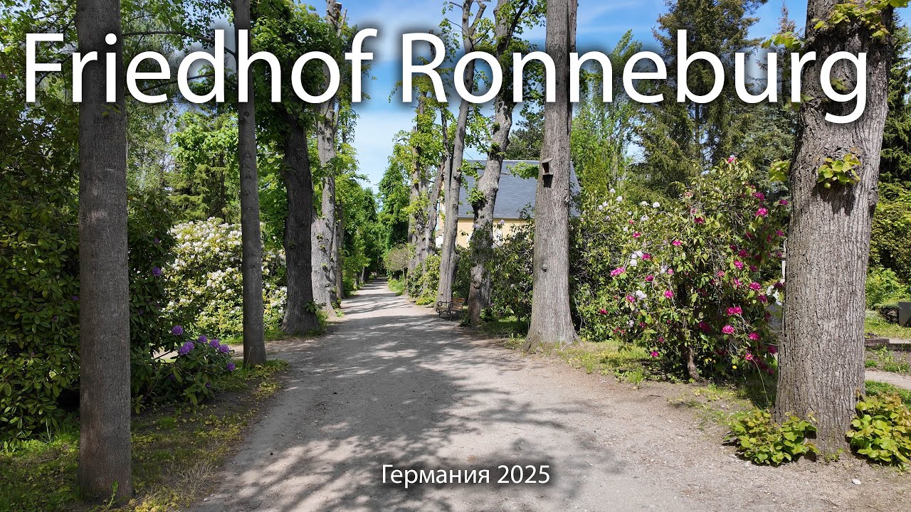 🇩🇪 Friedhof Ronneburg. Германия 2025
