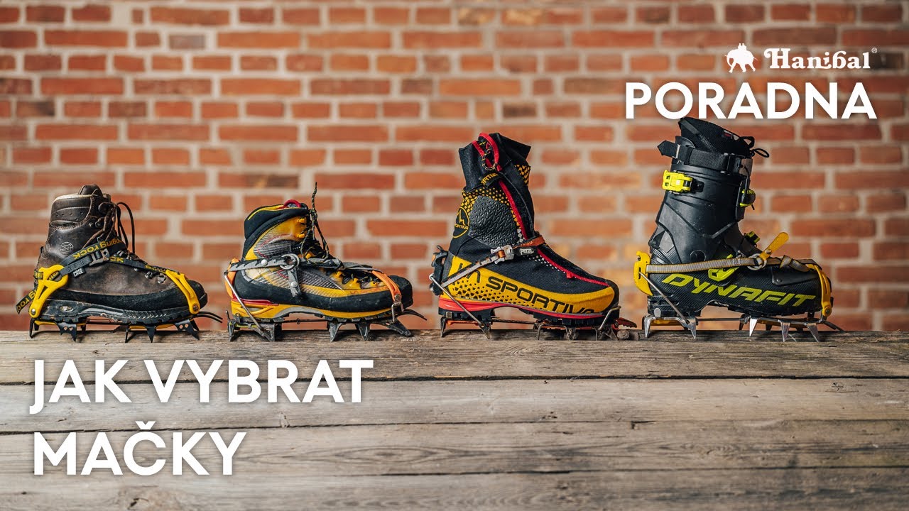 Jak vybrat mačky | Hanibal.cz