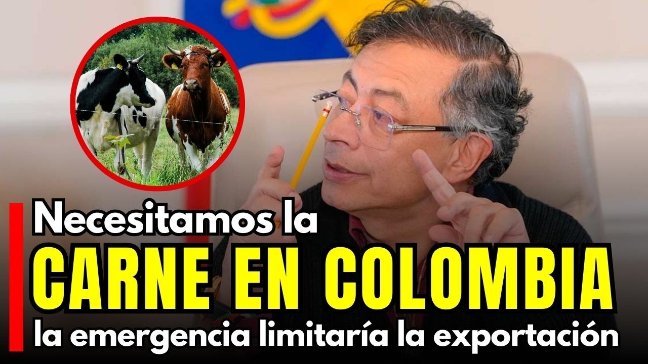 Petro lidera Consejo de Ministros y decreta Emergencia Económica por las lluvias