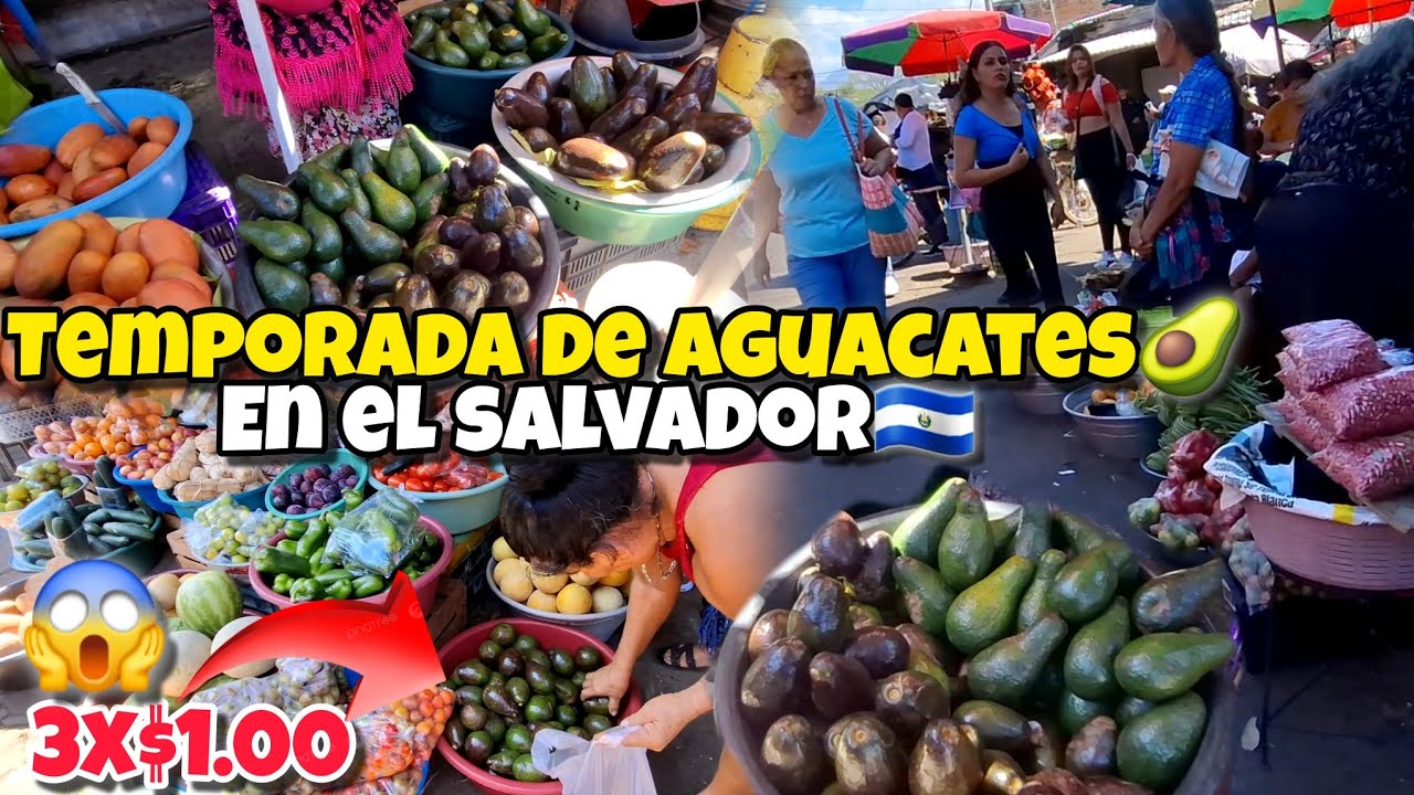 🚨comprando AGUACATES🥑 Y MÁS EN MERCADO REGIONAL DE USULUTÁN EL SALVADOR 🇸🇻
