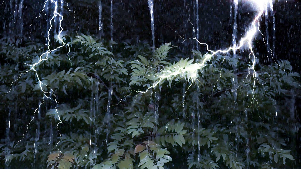 Strong Storm Outside: Relaxing Rain Sound for Deep Sleep in a Cozy Bedroom Ambience at Night