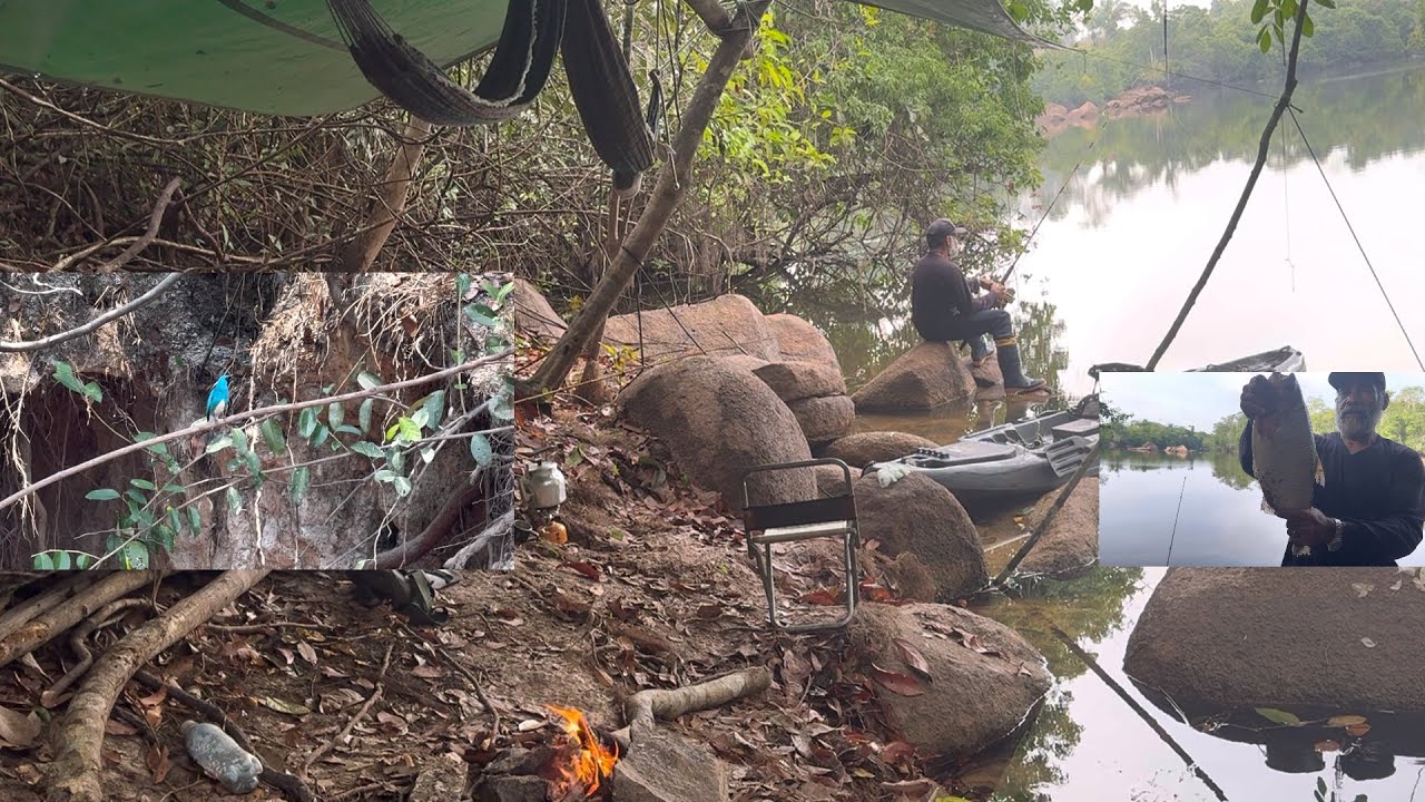 🏕️ACAMPAI NO BARRANCO DO RIO fiz peixe frito ouvindo canto dos pássaros