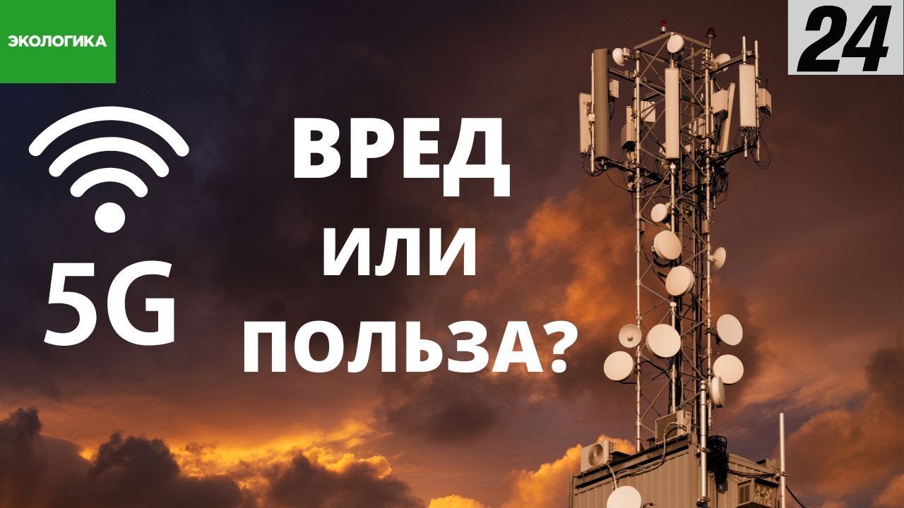 5G: кто такие радиофобы и почему они боятся вышек сотовой связи | Экологика