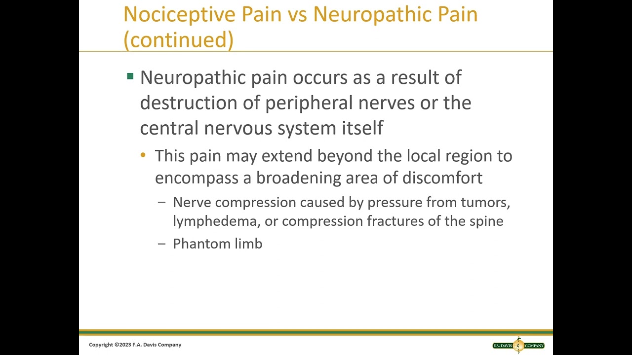 Chapter 19 Pain Management, Rest, and Restorative Sleep