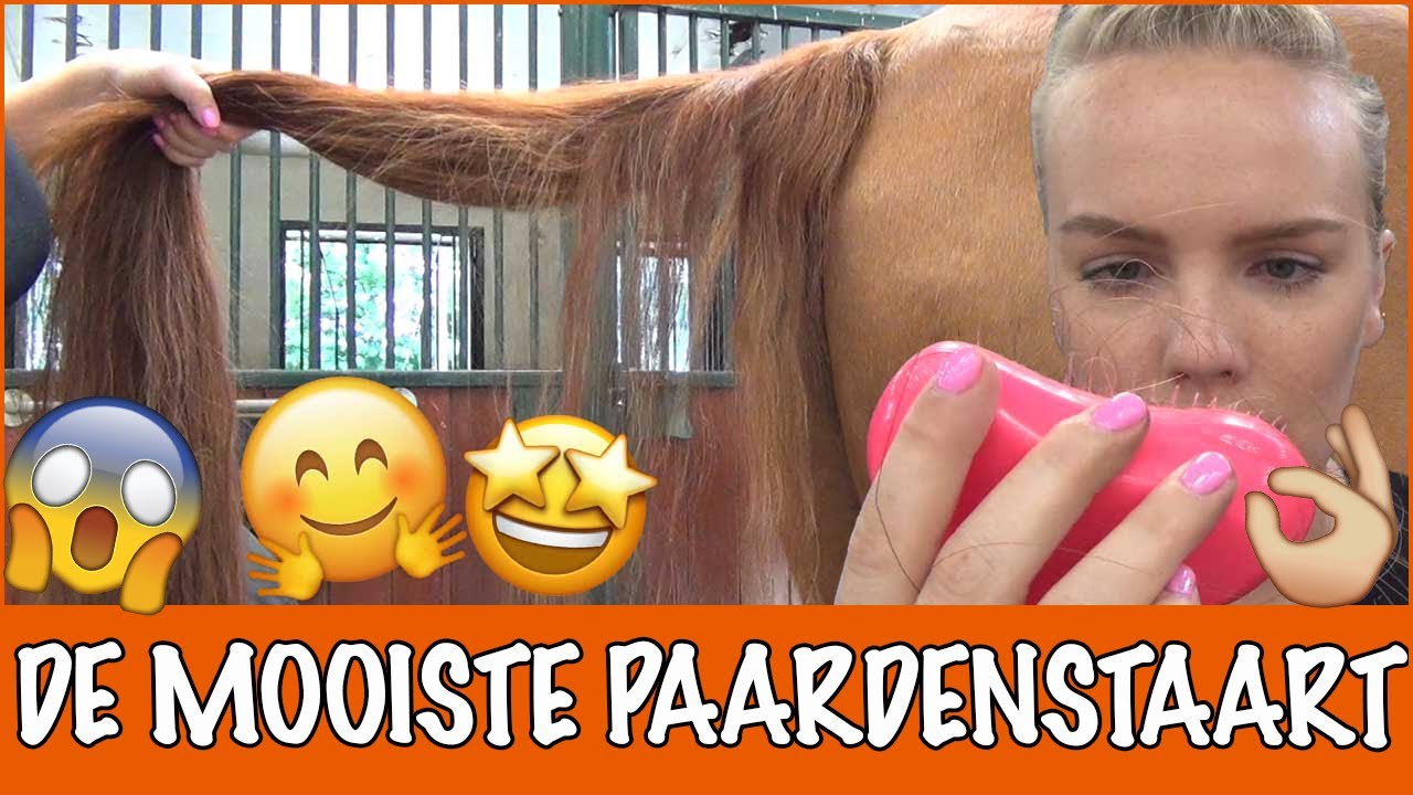 Tips van het internet: de beste paardenstaart ever!! | PaardenpraatTV