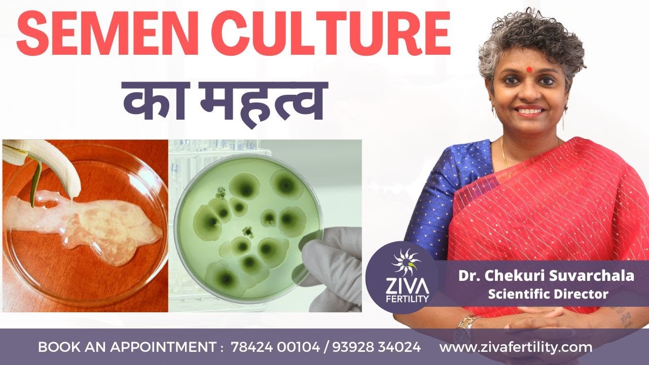 Importance Of Semen Culture || Semen Culture का महत्व || Dr Chekuri Suvarchala || ZIVA Fertility