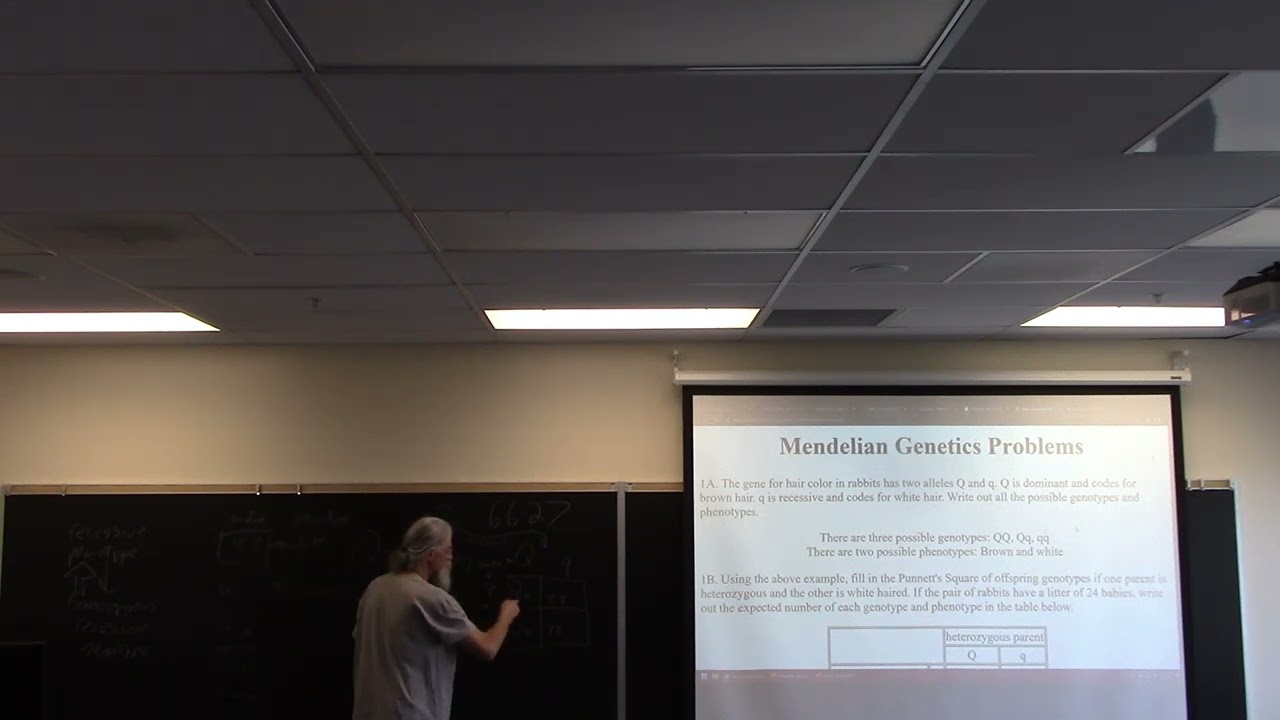Doing Mendelian Genetics