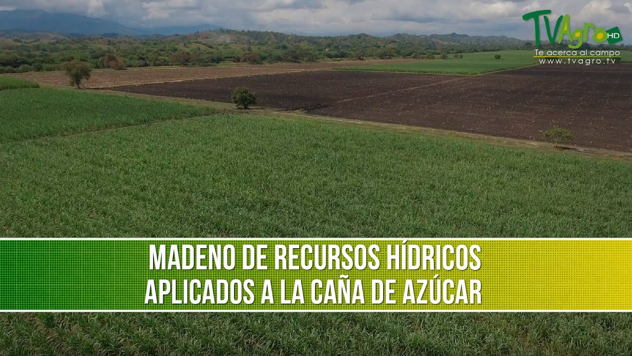 Manejo de Recursos Hidricos Aplicados a la Caña de Azucar- TvAgro por Juan Gonzalo Angel