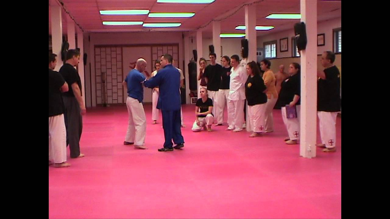 Chen Style Practical Method Yilu 1st Move Application