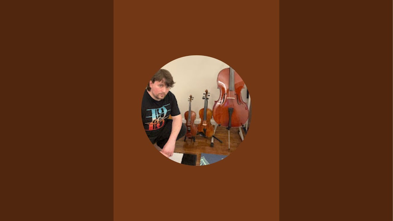 Beethoven on Mandolin Practice Violin Concerto in D