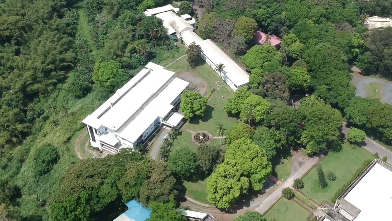 AUP Campus Drone Footage 2022