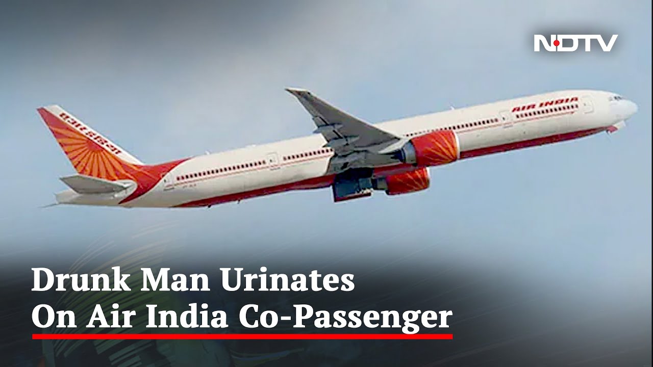 Drunk Man Urinates On Woman In New York-Delhi Air India Flight | The News