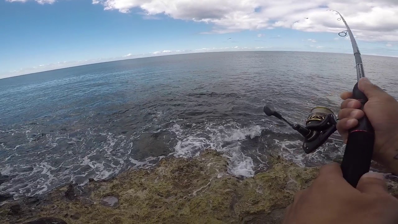 Ko’olina, HI Whipping