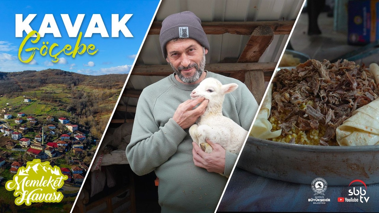 Kavak Göçebe Mahallesi | Memleket Havası