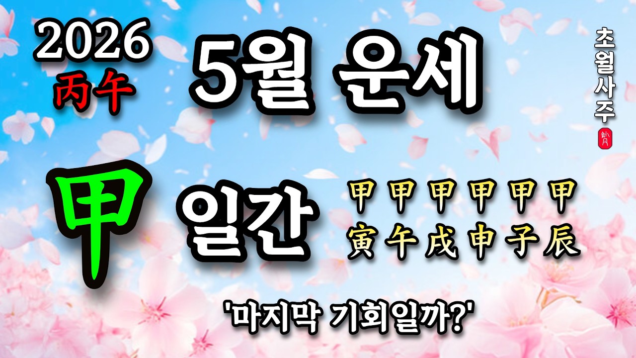 [5월운세] 갑(甲) 일간 '마지막 기회일까?'